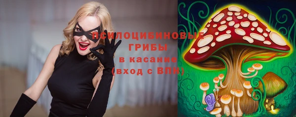 дмт Белокуриха