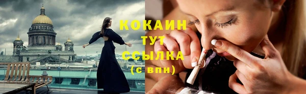 дмт Белокуриха