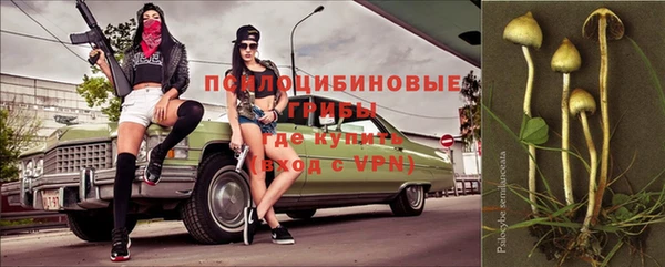 дмт Белокуриха